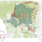 DRC Opens Half Its Forests for Oil Drilling – Raising Environmental Alarms